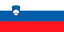 Словенія. Прапор.